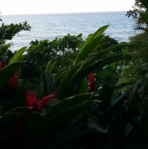 Meet your Posher, Beekie lady